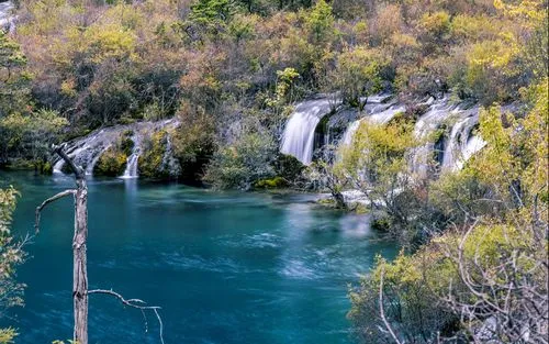 高端智能